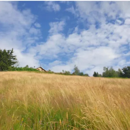 샬레 Chalet En Pleine Nature Vogienne Ramonchamp