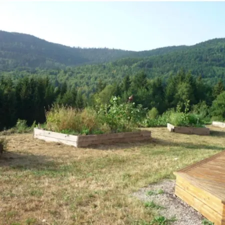Chalet En Pleine Nature Vogienne Chalé